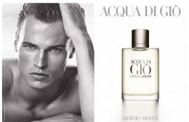 Giorgio Armani Acqua di Gio Pour Homme- 2