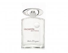 Salvatore Ferragamo Incanto pour homme