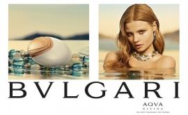 Bvlgari Aqva Divina- 3
