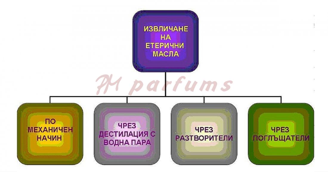 izvlichane-na-eterichni-masla